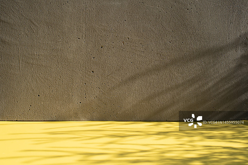 植物阴影下的黄色背景，时尚背景，现代模型图片素材