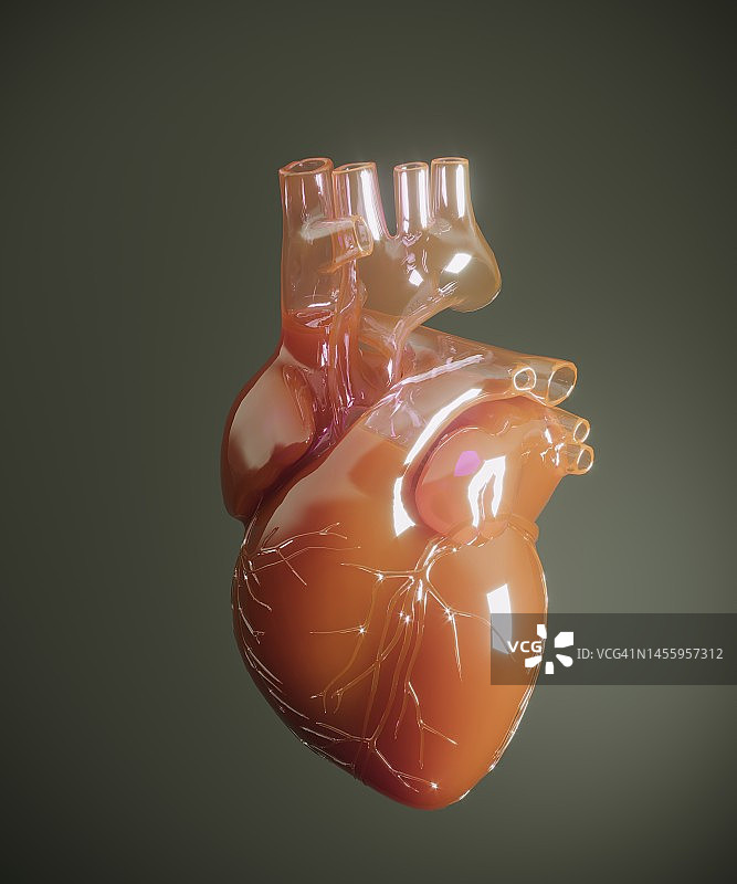 玻璃人体心脏图片素材