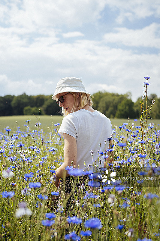 蓝色矢车菊花海中的年轻女子图片素材
