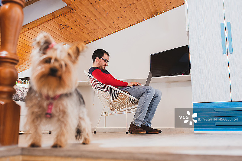 快乐的男人在家使用笔记本电脑，房间里有他可爱的狗图片素材