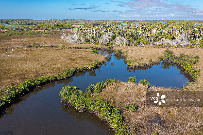 盐沼和红树林岛屿航拍图片素材