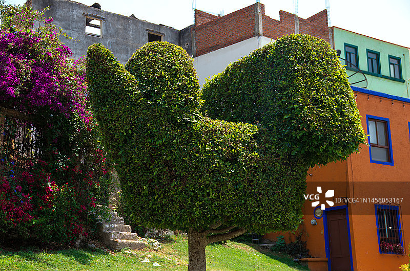 程式化鸟类植物造型树图片素材