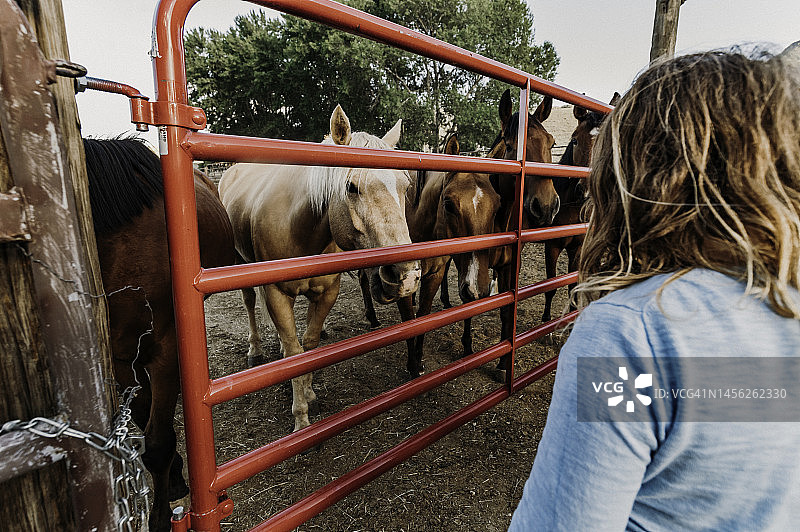 儿童与马，女孩在农场或牧场与马匹图片素材