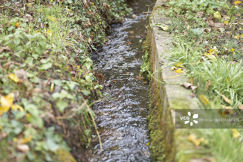 草地间平静流淌的小溪河道图片素材