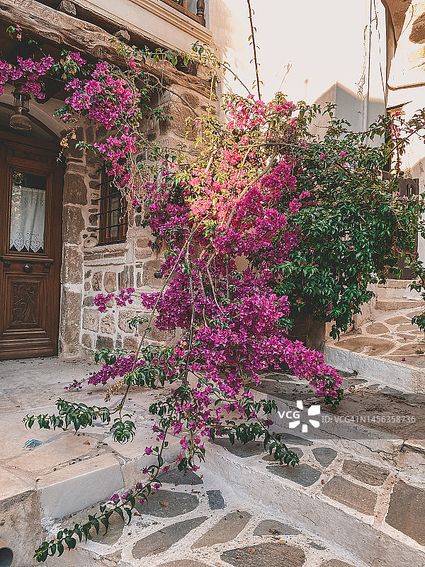 希腊小镇的门口鲜花图片素材