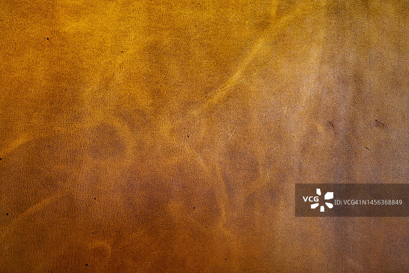 真皮纹理背景图片素材