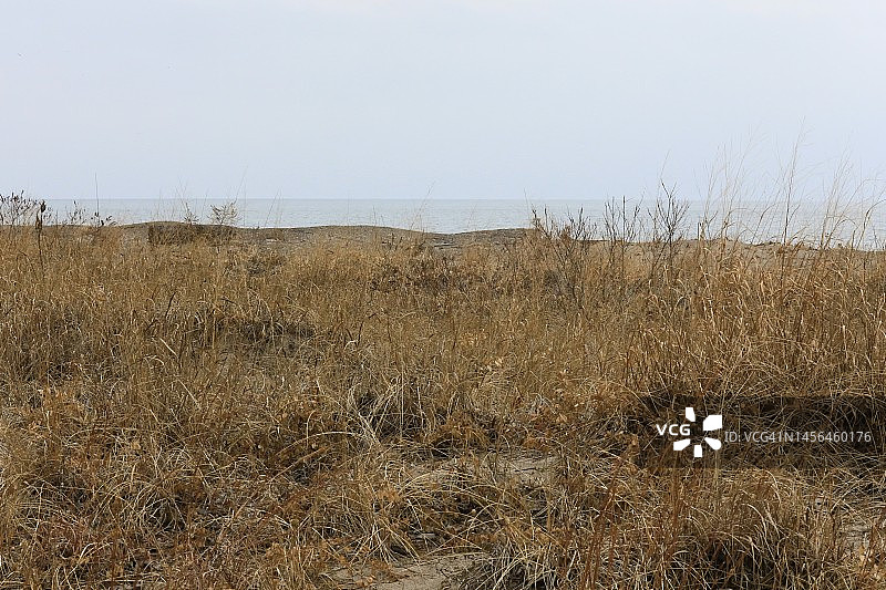 原生海滩草山坡图片素材