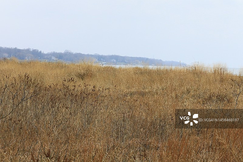 天然草地图片素材