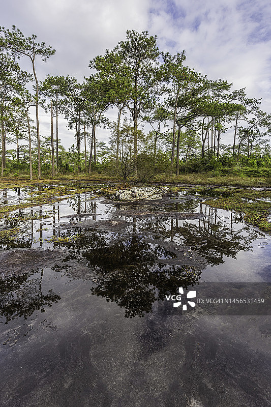 泰国黎逸府Phu Kradueng国家公园雨后景观图片素材