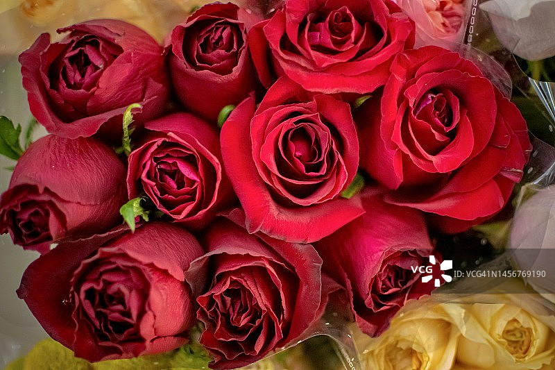 花卉市场中的玫瑰花束特写图片素材