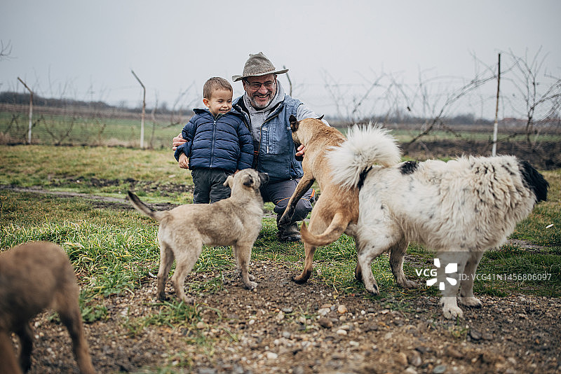 年长的农民和孙子与狗玩耍图片素材
