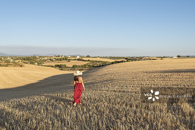 在法国麦田中行走的漂亮女人图片素材