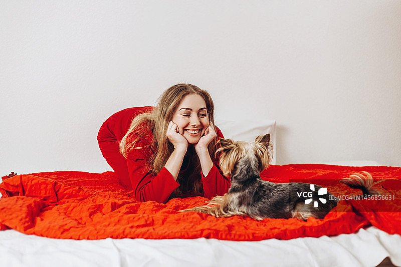 年轻女人在红色覆盖物上与约克夏犬玩耍图片素材