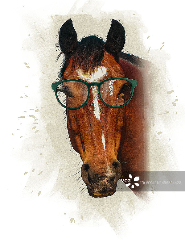 戴着破眼镜的滑稽马的肖像，绿色油漆背景图片素材