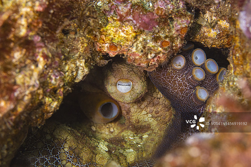 10月3日至12月22日图片素材