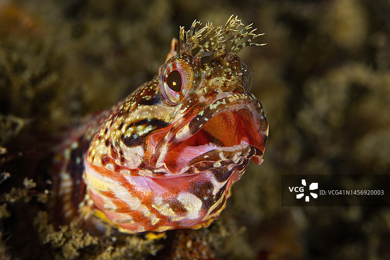 朋友4十二月2-22图片素材