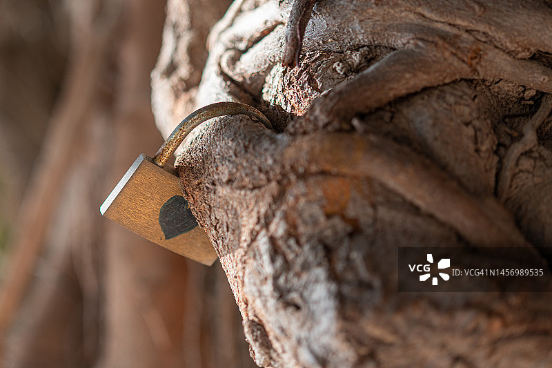 爱的概念图片素材