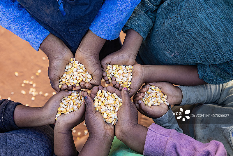 非洲的贫困：一群饥饿的非洲儿童伸出手，慈善组织正在分发玉米图片素材