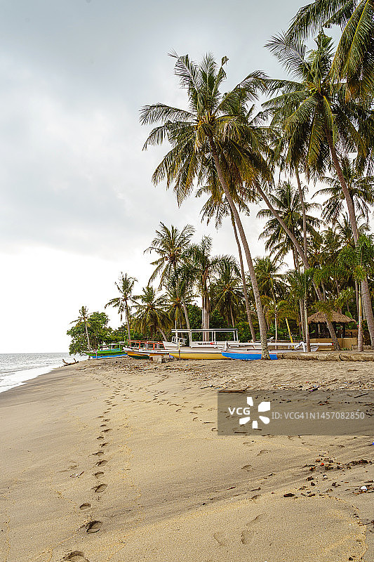 龙目岛空旷热带海滩的暴风雨景观，高高的棕榈树图片素材