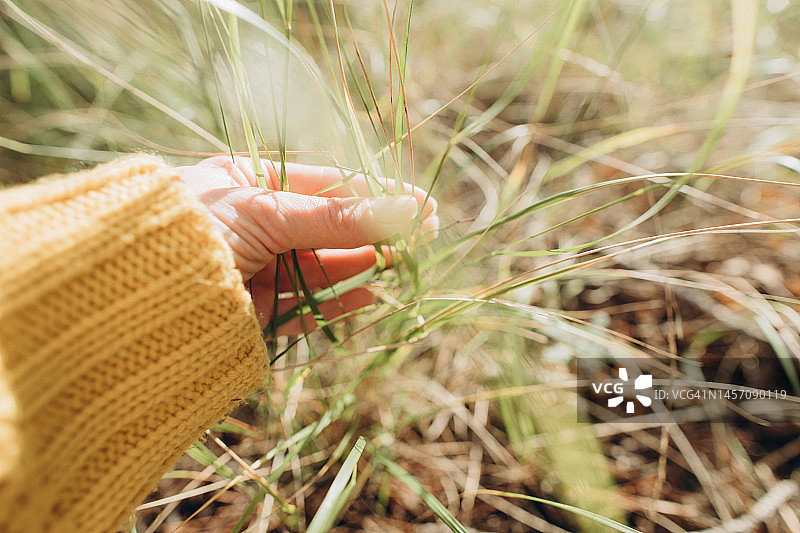 女人在绿色森林里拿着一片草叶图片素材