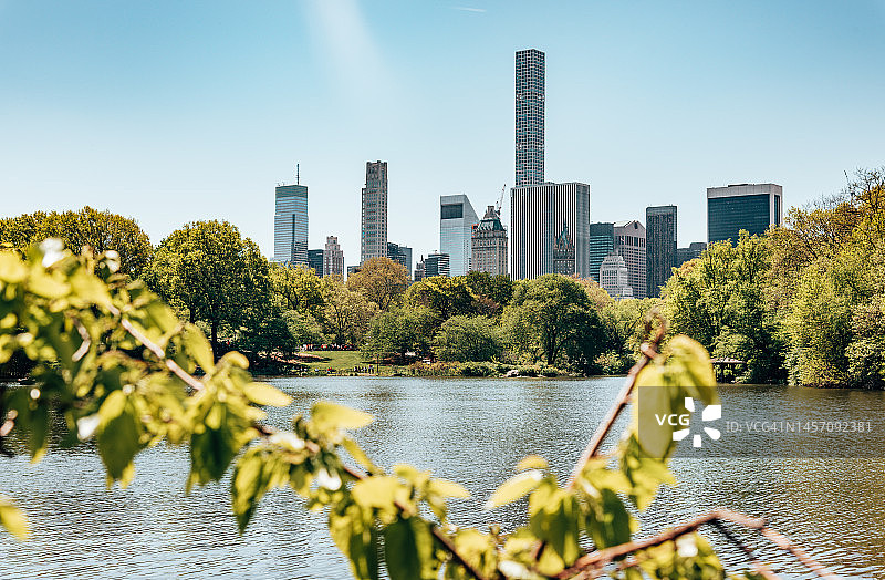 中央公园城市景观图片素材