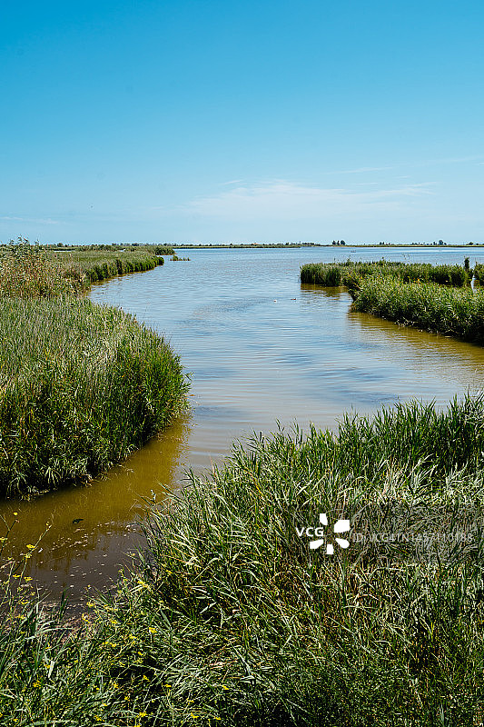 埃布罗河三角洲河口湿地图片素材
