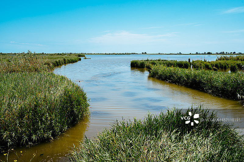 埃布罗河三角洲河口湿地图片素材