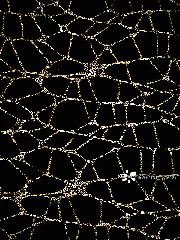 金色网格图片素材