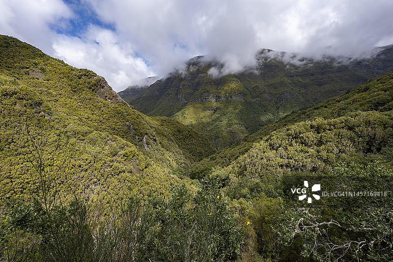 葡萄牙马德拉岛拉巴萨尔Alecrim Levada远足径的多云森林山景图片素材