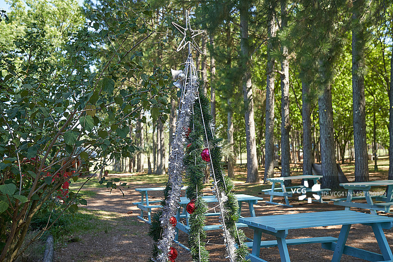 装饰精美的圣诞树图片素材
