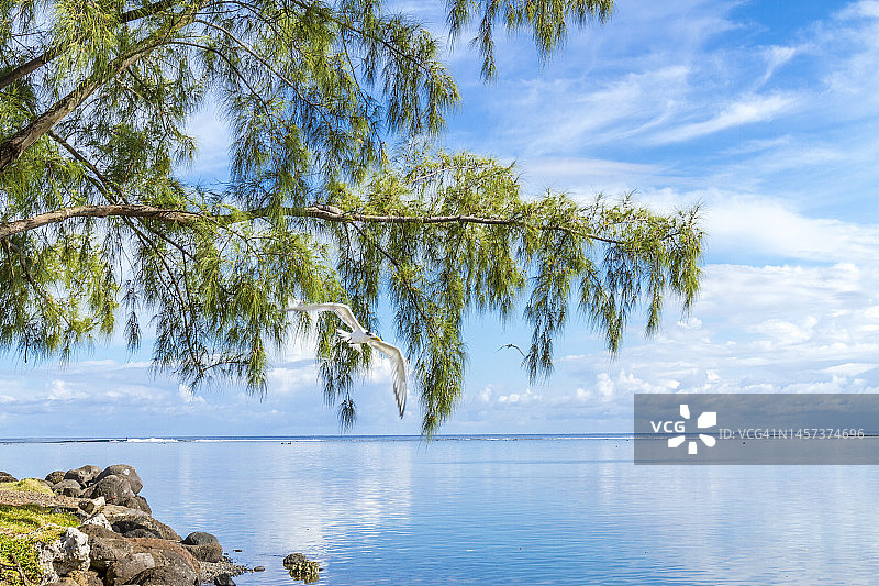 大溪地岛图片素材