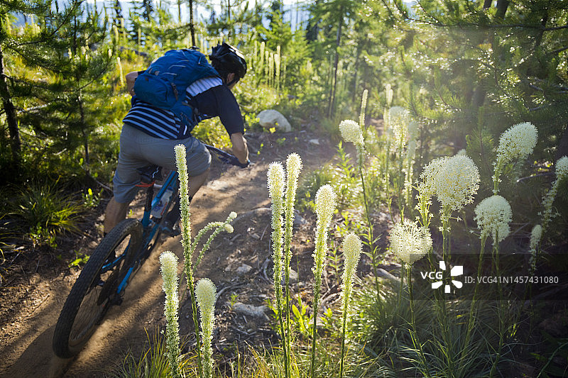 山地自行车驶过熊草图片素材
