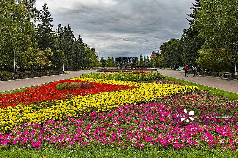 俄罗斯阿尔泰边疆区巴尔瑙尔老兵公园里的花甜菜图片素材