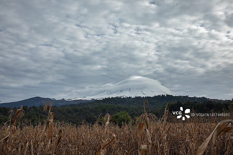 墨西哥内瓦多火山和玉米地乡村景观图片素材