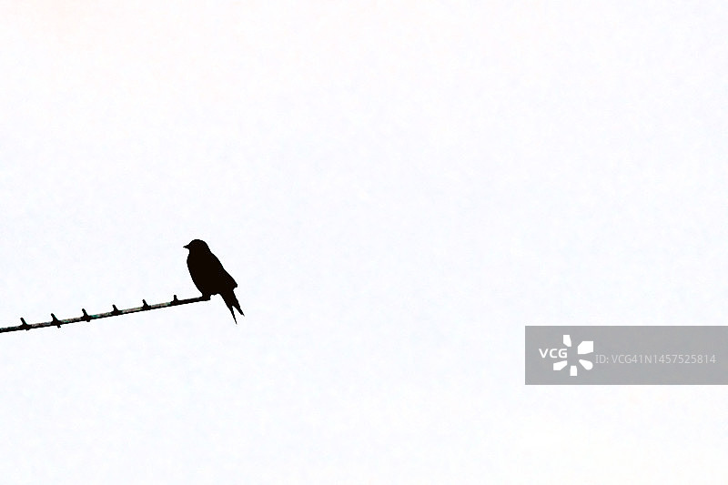 鸟瞰图图片素材