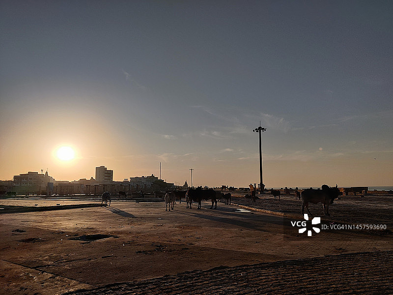 杜瓦卡/古吉拉特邦德瓦卡迪什神庙日出图片素材