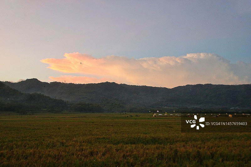 傍晚稻田风光图片素材