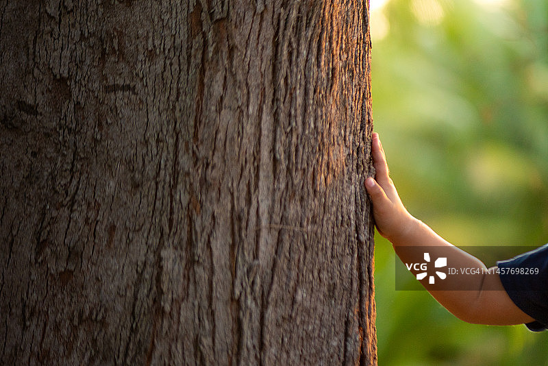 地球保护日的概念还是环保之手保护生长的森林图片素材