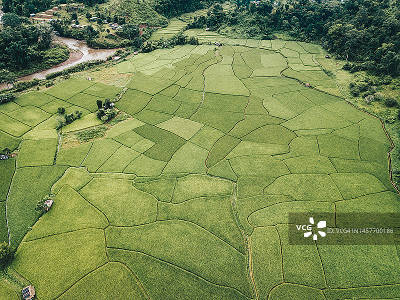 泰国楠府雨季稻田的美丽航拍景色图片素材