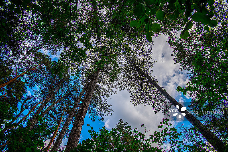 萨拉热窝特雷贝维奇山峰小径图片素材