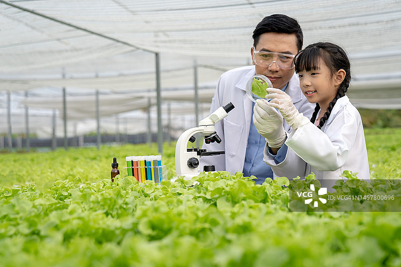 亚洲科学家正在测试生长情况图片素材