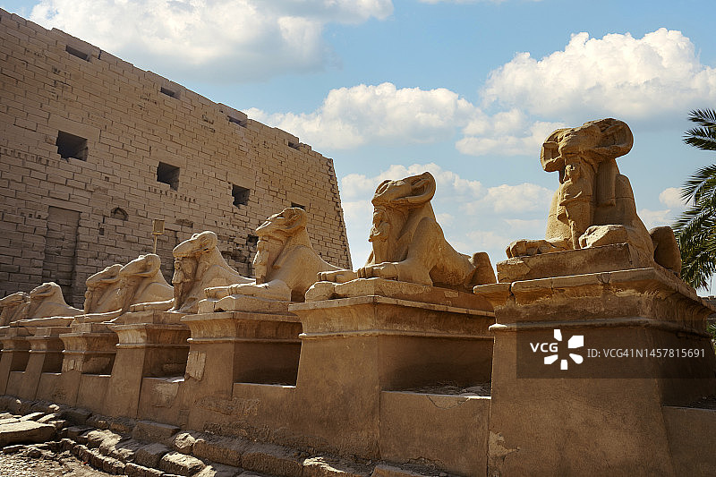 埃及卢克索卡纳克神庙前的狮身人面像特写图片素材