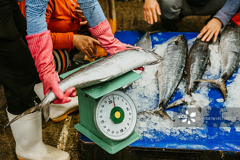 海鲜市场出售的捕捞海鱼图片素材