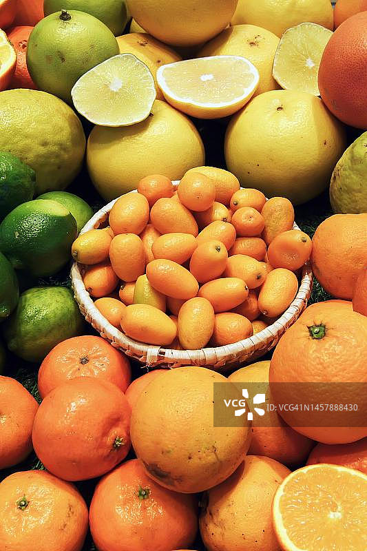 德国柏林展出的各种柑橘类水果图片素材