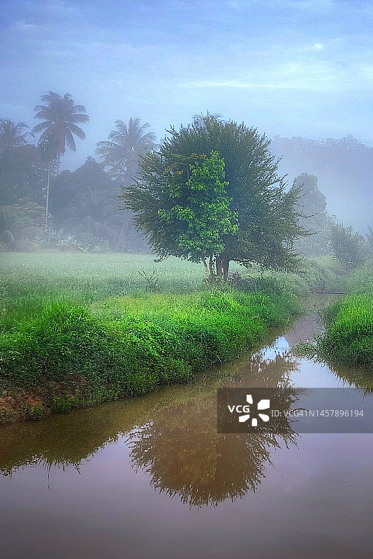 稻田风光图片素材