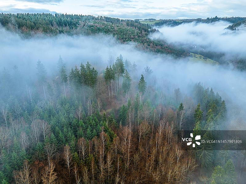 德国卡尔夫黑森林雾景航拍图片素材