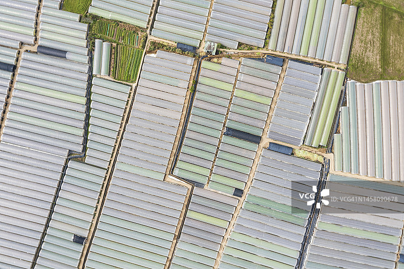 蔬菜和其他作物苗圃的绿色温室图片素材