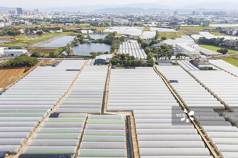 蔬菜和其他作物苗圃的绿色温室图片素材