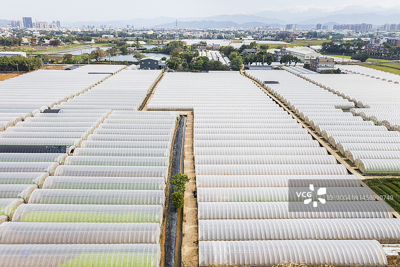 蔬菜和其他作物苗圃的绿色温室图片素材