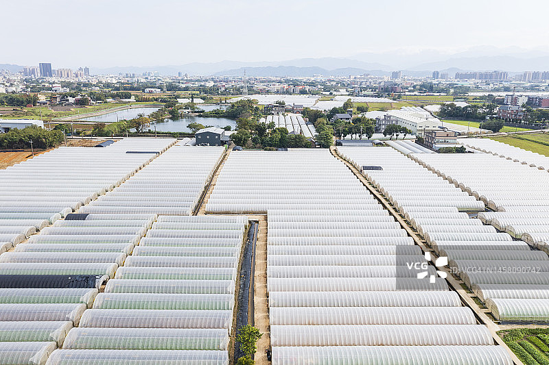 蔬菜和其他作物苗圃的绿色温室图片素材